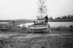 Tiger_1943