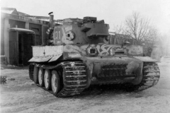 Tiger_231_503