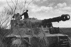 Tiger_308_schwere_panzer_abteilung_502