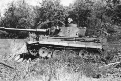 Tiger_321