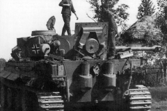 Tiger_323_503_2