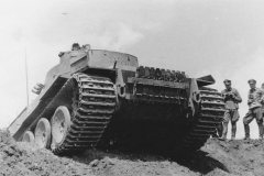 Tiger_334_2