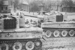 Tiger_501_113