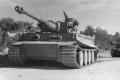 Tiger_501_141_dak