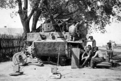 Tiger_501_EF