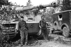 Tiger_502