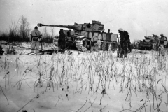 Tiger_502_100_1942