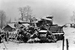 Tiger_502_101