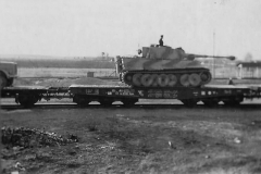 Tiger_503_112