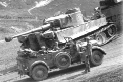 Tiger_503_114
