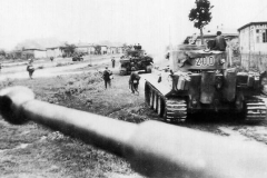 Tiger_503_200