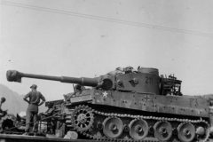 Tiger_504_number_211_Palermo_Italy
