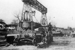 Tiger_506_3