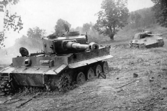Tiger_506_spzabt_and_Panther