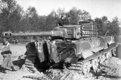 Tiger_507_322