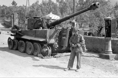 Tiger_508_italy_2
