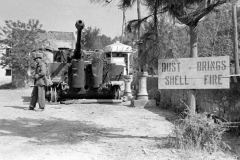 Tiger_508_italy_3