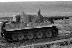Tiger_932_totenkopf