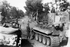 Tiger_A02_GD