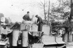 Tiger_C01