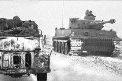 Tiger_GD_mar43