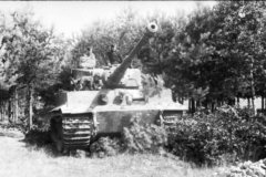 Tiger_I_in_Poland
