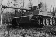 Tiger_I_near_Leningrad_1943