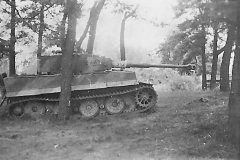 Tiger_I_number_312__sPzAbt._505_2