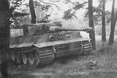 Tiger_I_number_312__sPzAbt._505_3
