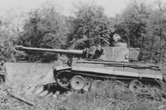 Tiger_I_number_321__sPzAbt._503_11