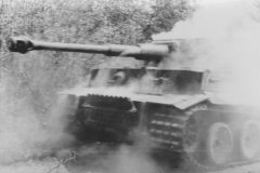 Tiger_I_number_321__sPzAbt._503_12