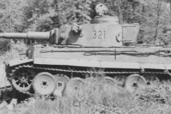 Tiger_I_number_321__sPzAbt._503_13