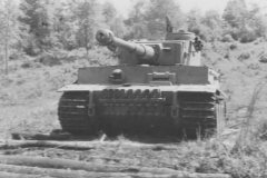 Tiger_I_number_324__sPzAbt._503_10