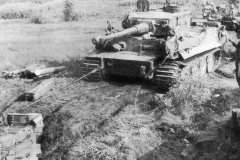 Tiger_I_number_331_sPzAbt._503_3