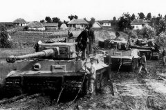 Tiger_I_number_332__321__331__sPzAbt._503