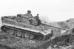 Tiger_I_number_332__sPzAbt._503_3