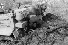 Tiger_I_number_332__sPzAbt._503_3a