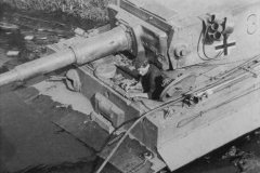Tiger_I_number_332__sPzAbt._503_5