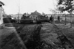 Tiger_I_schwere_panzer_abteilung_505