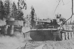 Tiger_I_tanks