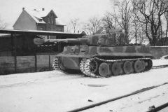 Tiger_I_winter