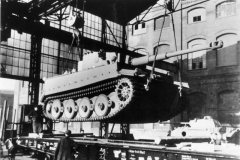 Tiger_Kassel