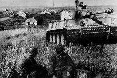 Tiger_Orel_Kursk