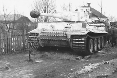 Tiger_Panzer_der_LAH
