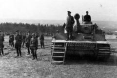 Tiger_Russia_Appell_der_SS-Division_Das_Reich_TIKI