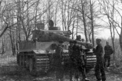 Tiger_Russia_SS-Division_Das_Reich