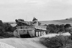 Tiger_Schwere_Panzer_Abteilung_501_in_Tunisia_Afrika_korps