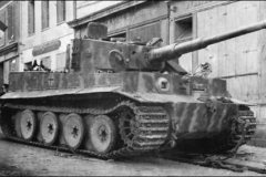 Tiger_abandoned_France
