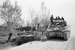 Tiger_and_sherman_tanks