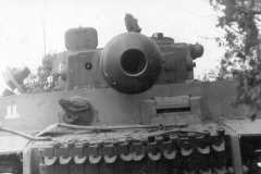 Tiger_das_reich